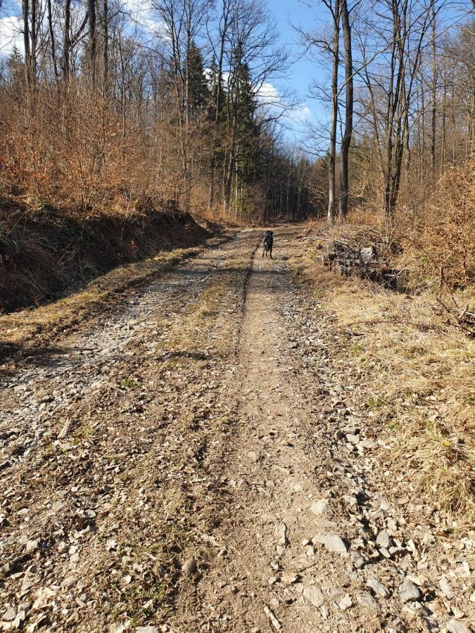 Horska Chata V Srdci Kremnickych Hor Banska Bystrica Exterior photo